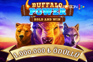 Buffalo Power: Hold and Win